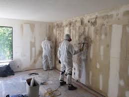 Why You Should Choose Our Mold Remediation Services in Horace, ND